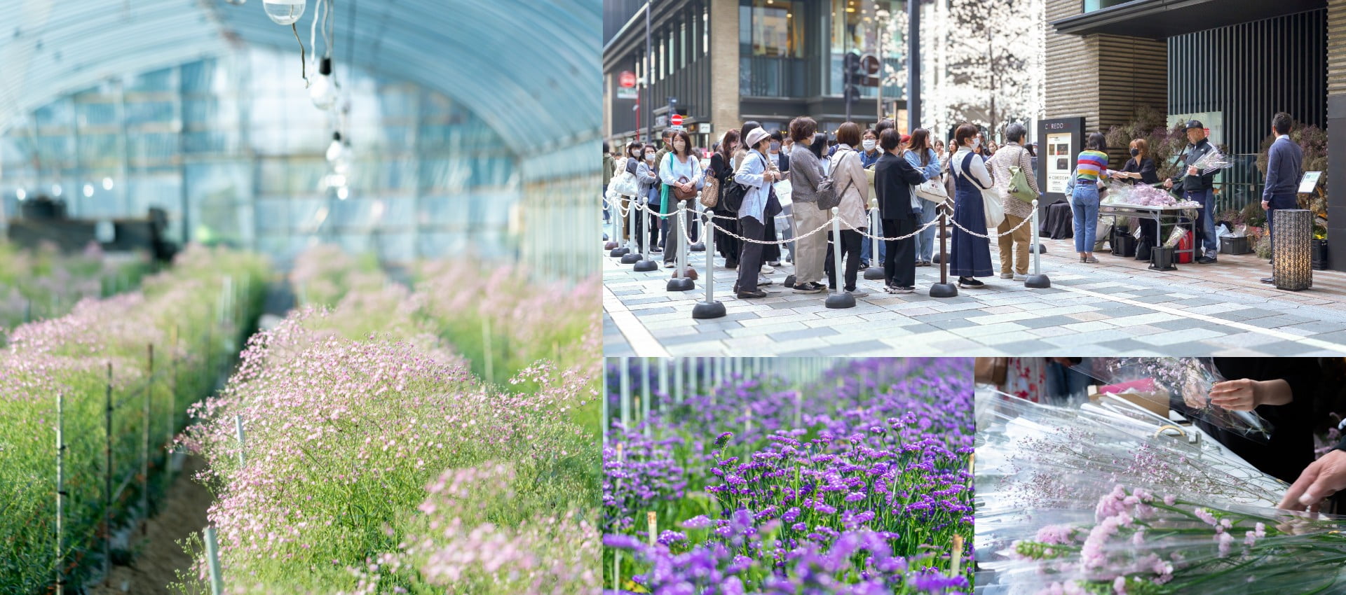 Nihonbashi Sakura Yatai
