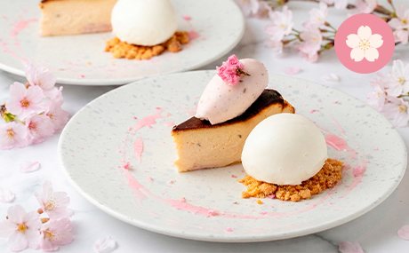 SWEETS | SAKURA FES NIHONBASHI 2026